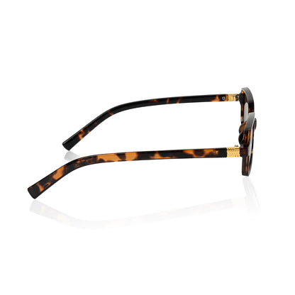 Retro Square Sunglasses for Men & Women - Brown