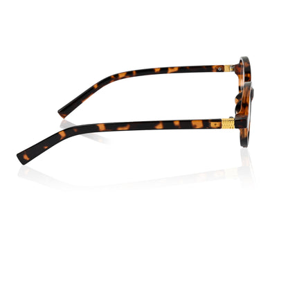 Retro Round Sunglasses for Men & Women - Brown Clear