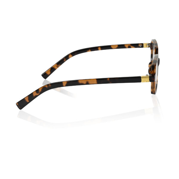 Irayz Classic Square sunglasses Unisex - Brown Clear