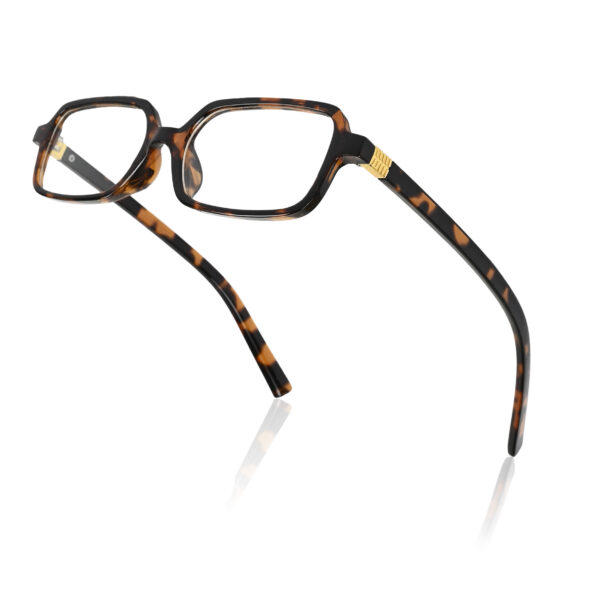Irayz Classic Square sunglasses Unisex - Brown Clear