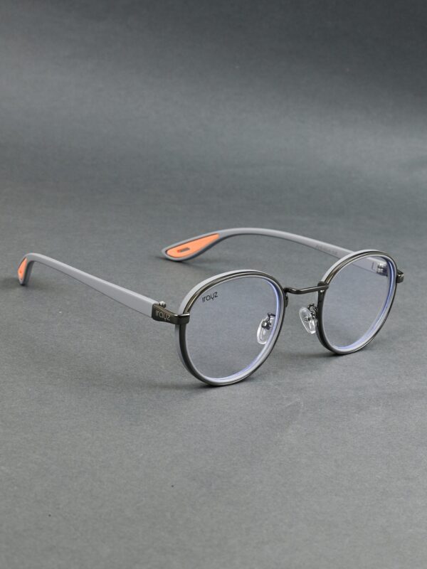 GRY-CLR(44) Irayz Classic Round Sunglasses - Grey Clear