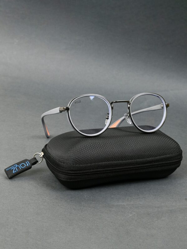 GRY-CLR(48) Irayz Classic Round Sunglasses - Grey Clear