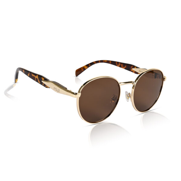 IRAYZ Round Metal Sunglasses – Gold Brown