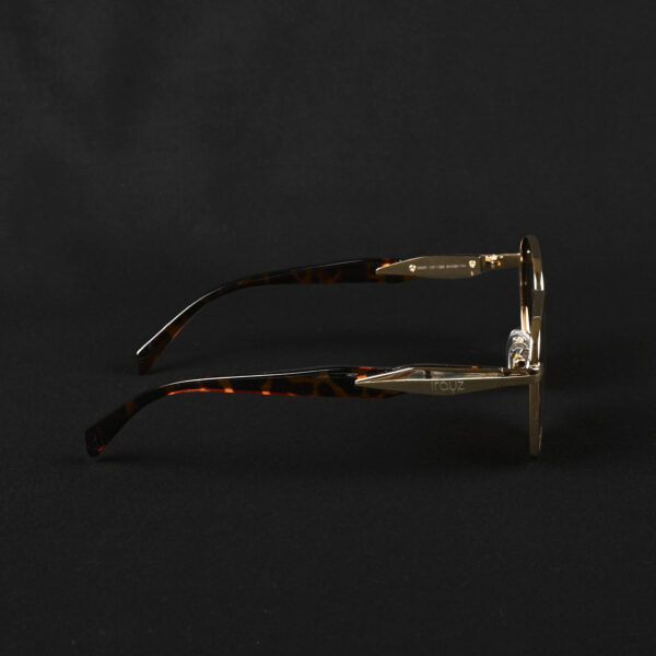 IRAYZ Round Metal Sunglasses – Gold Brown